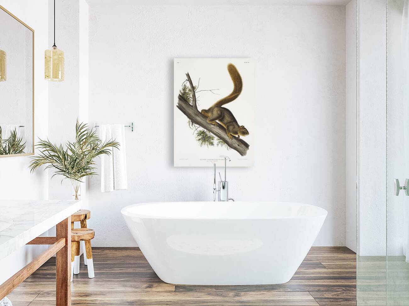 Red-tailed Squirrel Sciurus rubricaudatus  Reproduction