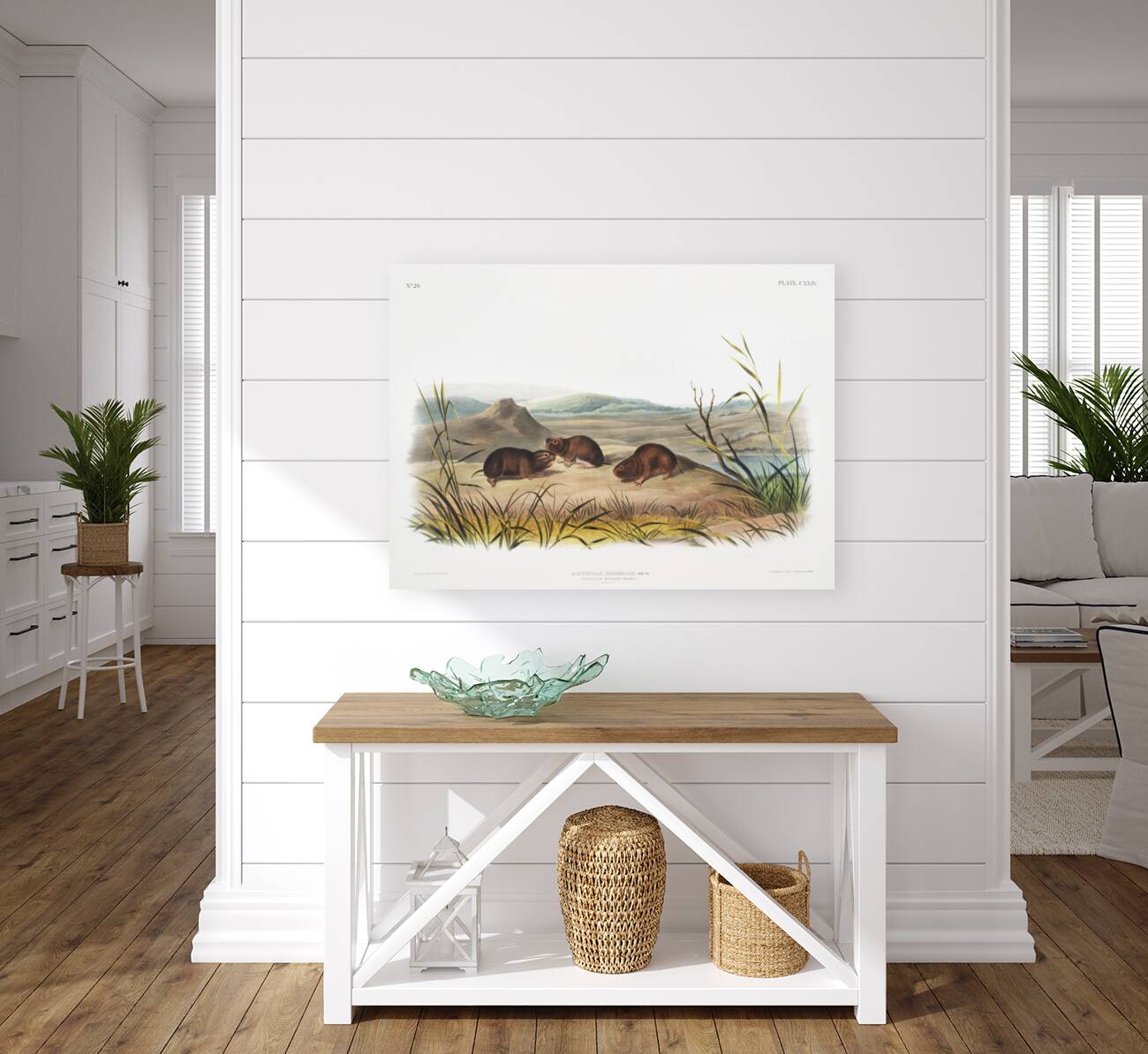 Northern Meadow-Mouse Arvicola borealis  Reproduction