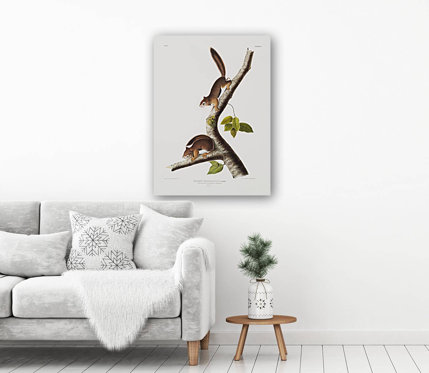 Chipping Squirrel Tamias Lysterii  Reproduction