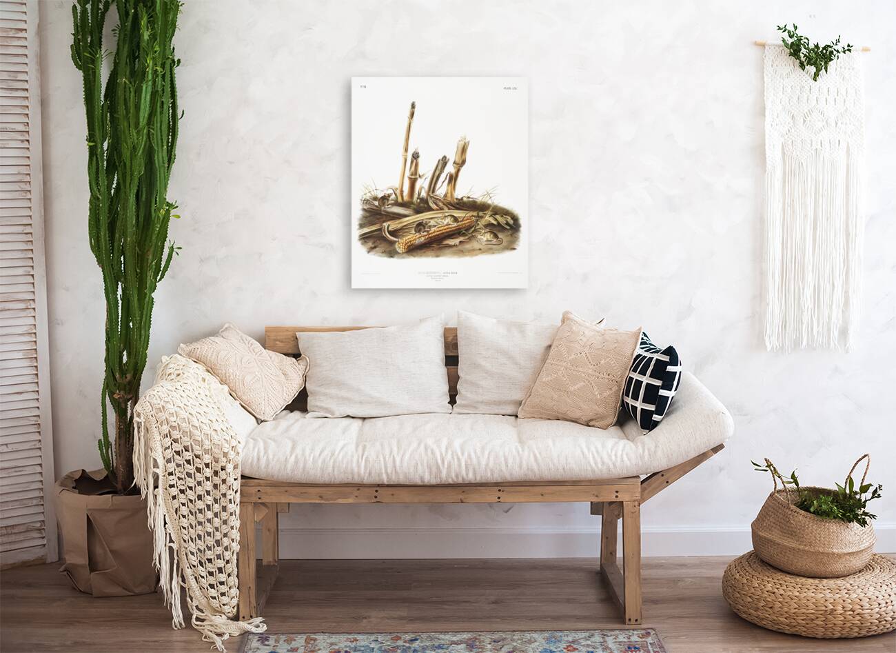 Little Harvest Mouse Mus minimus  Reproduction