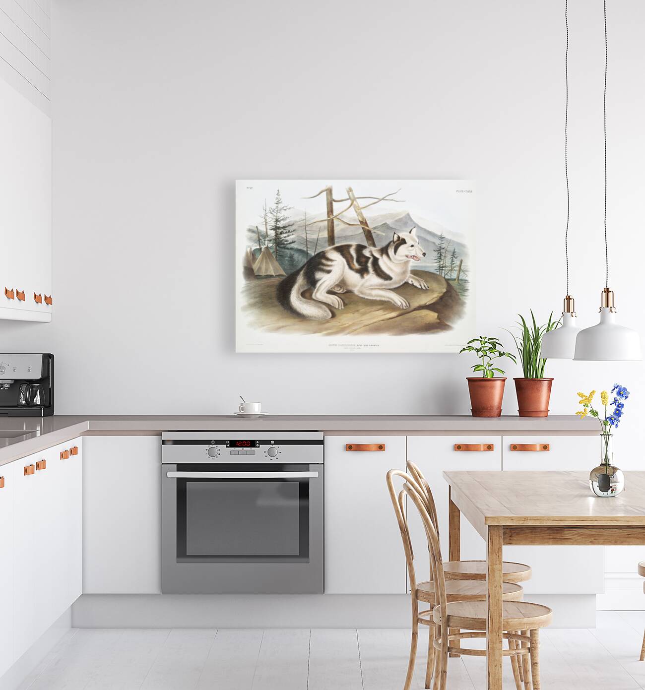 Hare-Indian Dog Canis familiaris  Reproduction