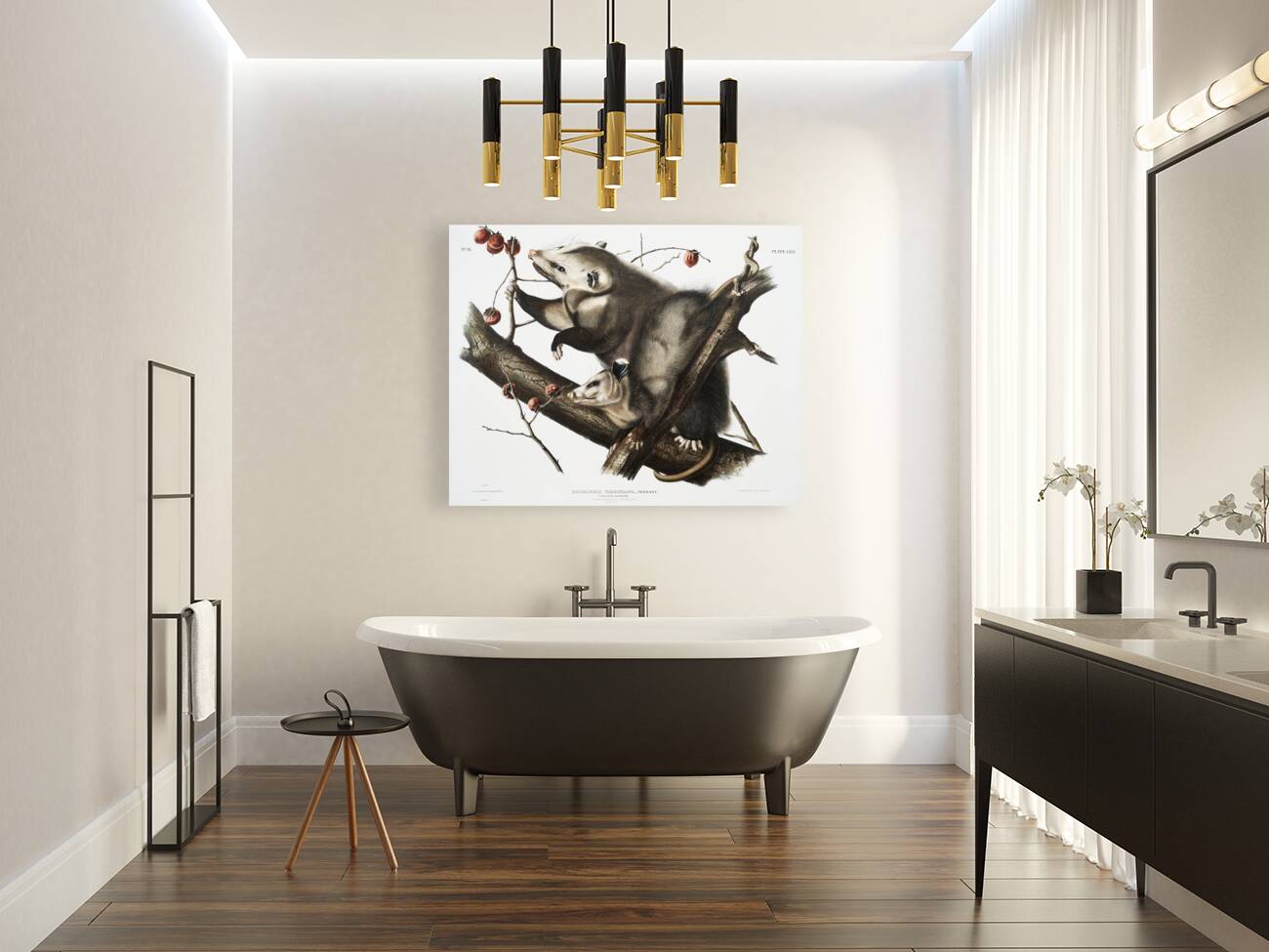 Virginian Opossum Didelphis Virginiana  Reproduction