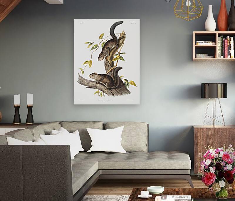 Collies Squirrel Sciurus colliaei  Reproduction