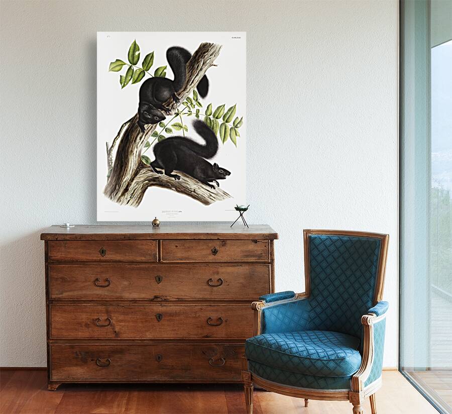 Meadow Mouse Arvicola richardsonii  Reproduction