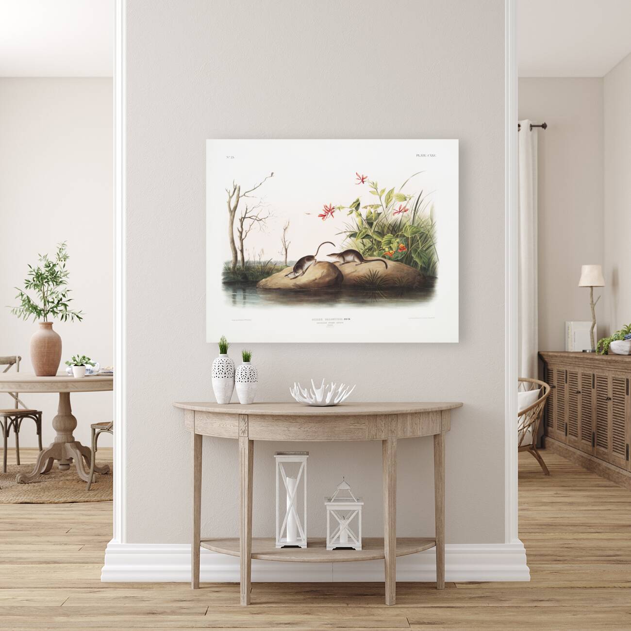 American Marsh Shrew Sorex palustris  Reproduction