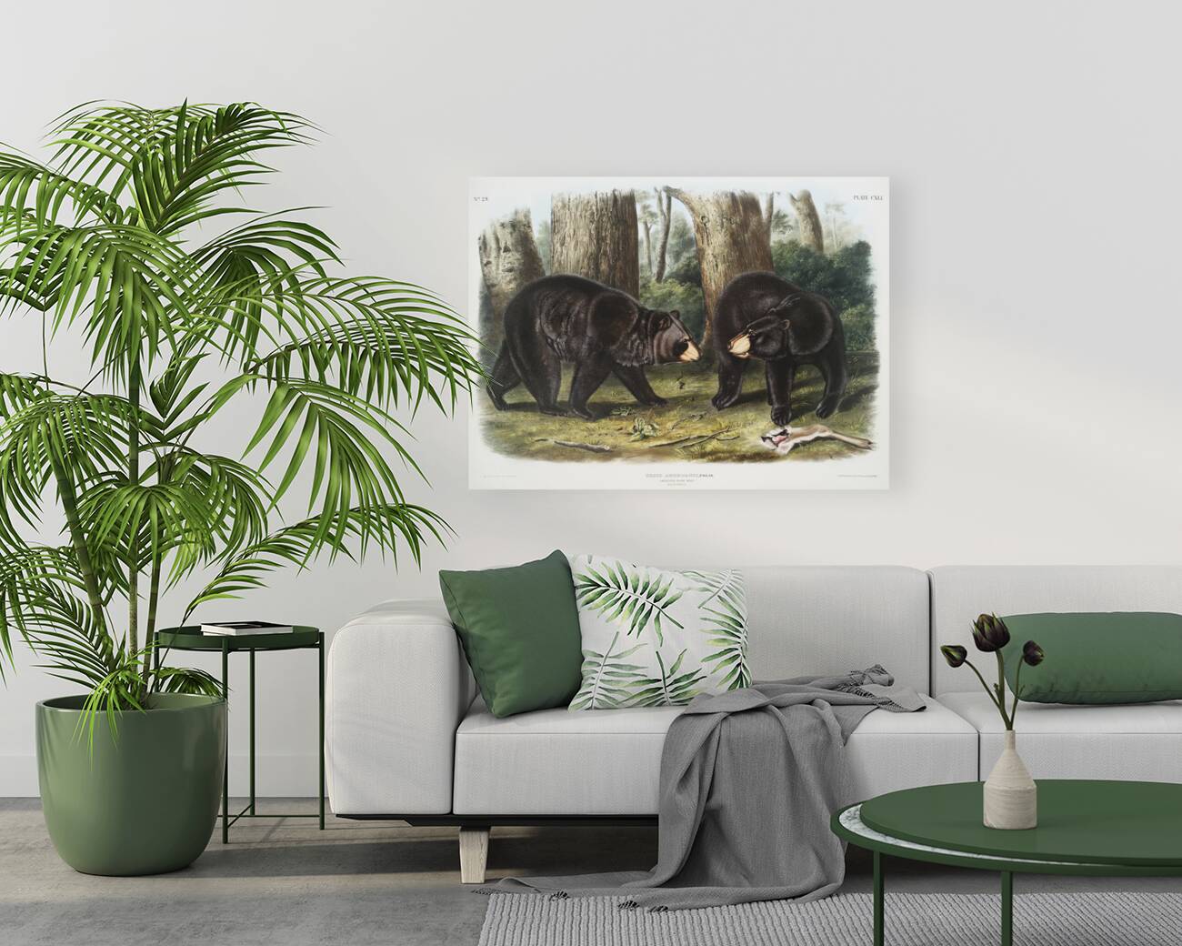 Rocky Mountain Hare Lepus Townsendii  Reproduction