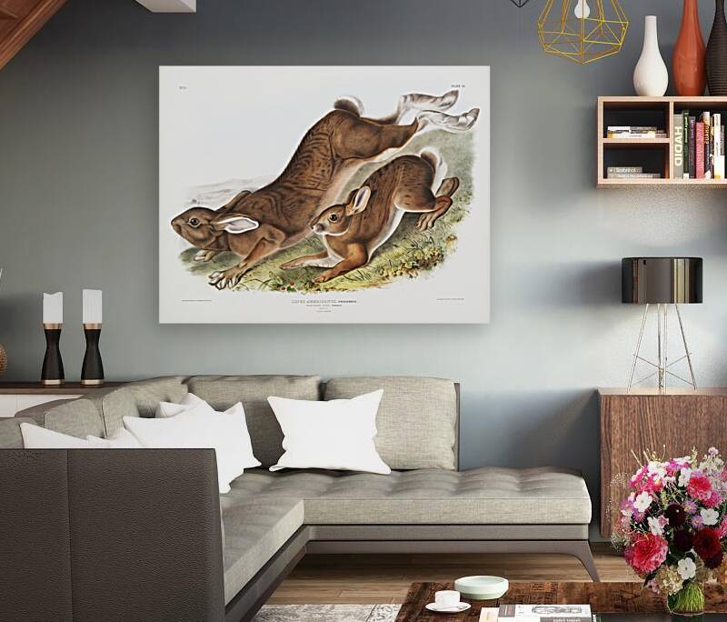 Northern Hare Lepus Americanus  Reproduction