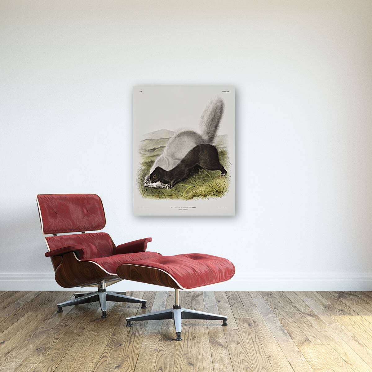 Texan Skunk Mephitis mesoleuca  Reproduction