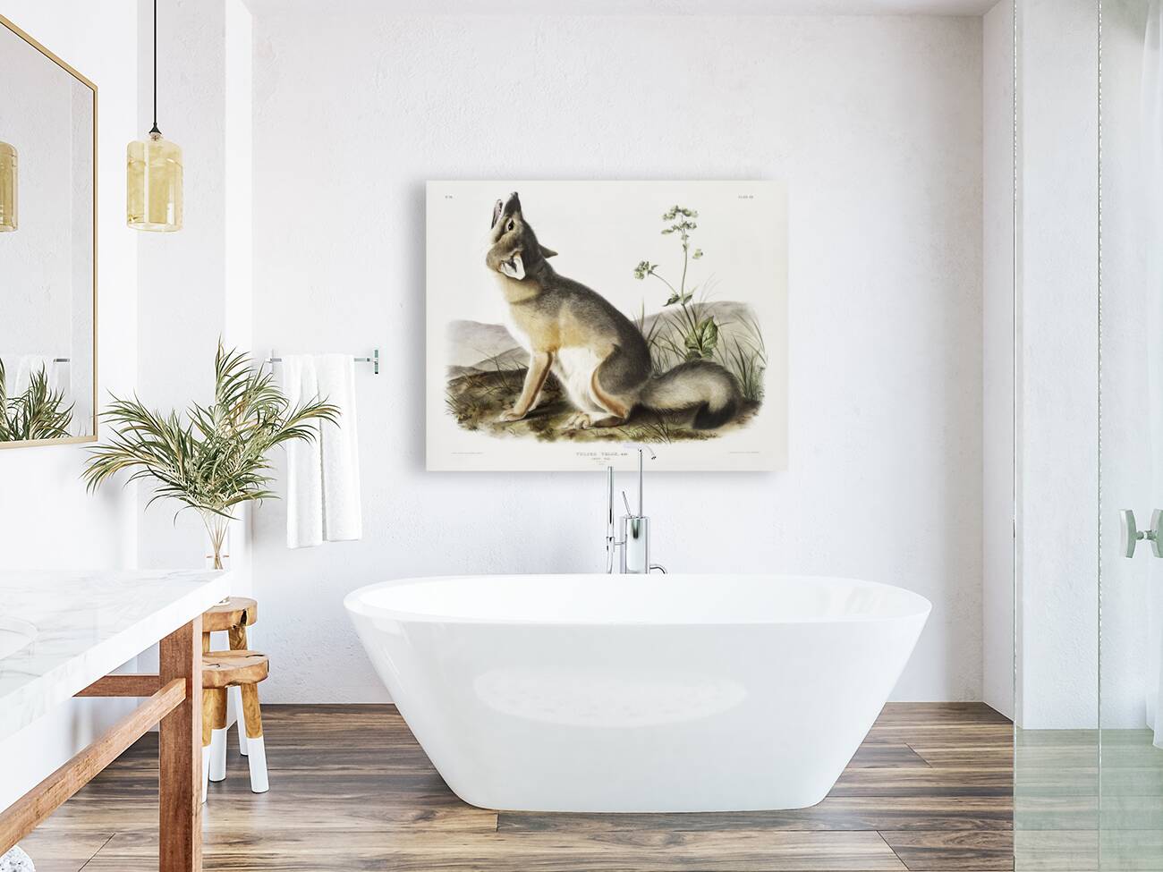 Swift Fox Vulpes velox  Reproduction