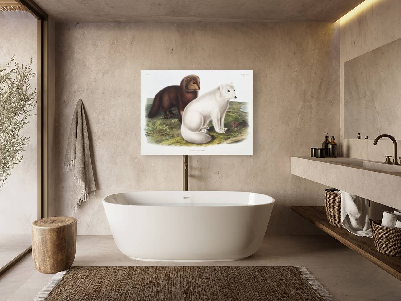 Arctic Fox Vulpes lagopus  Reproduction