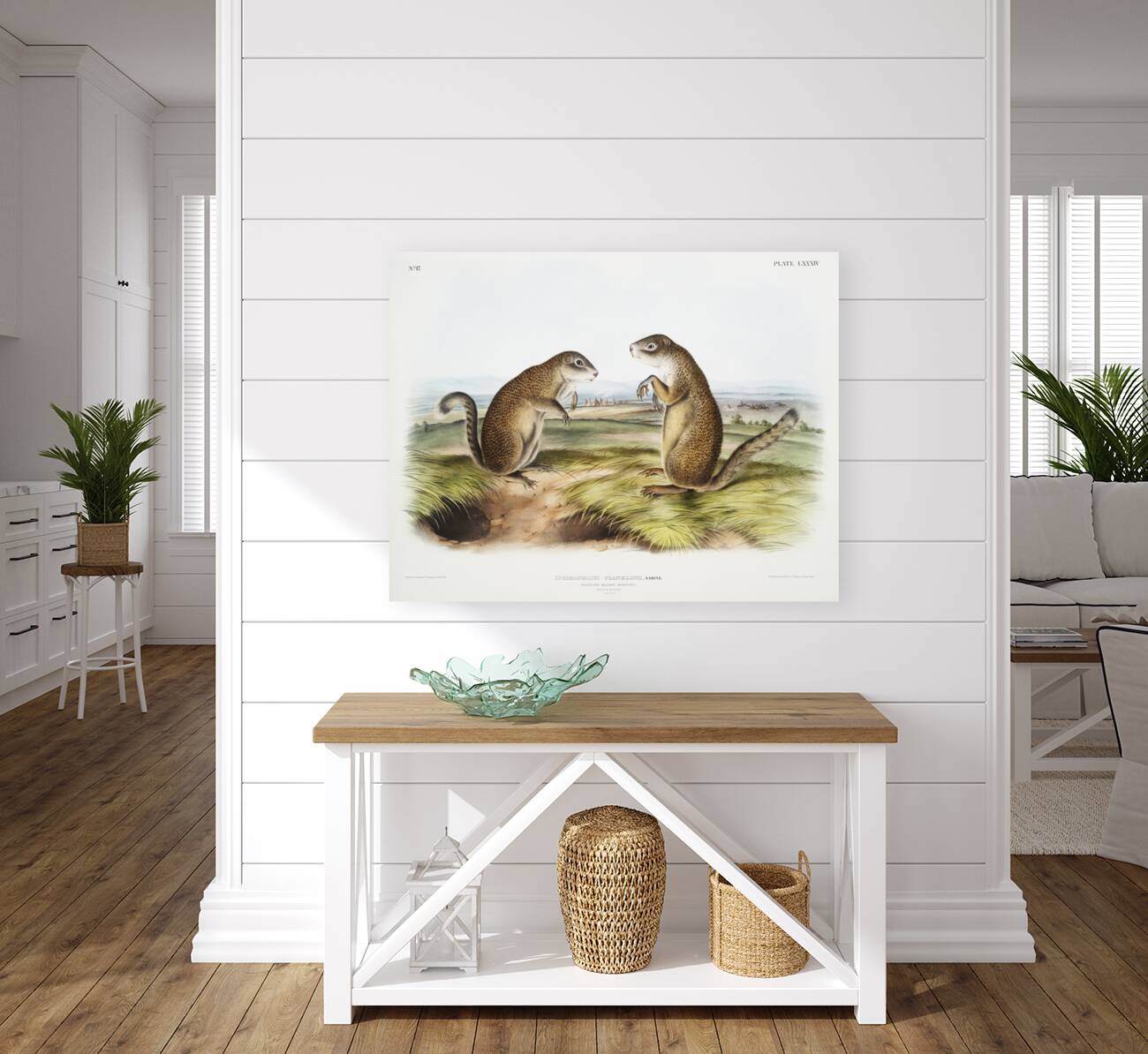 Marmot Squirrel Spermophilus Franklinii  Reproduction