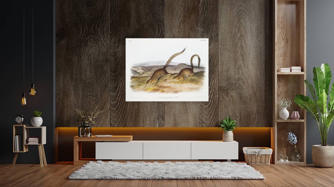 Annulated Marmot Squirrel Spermophilus annulatus  Reproduction