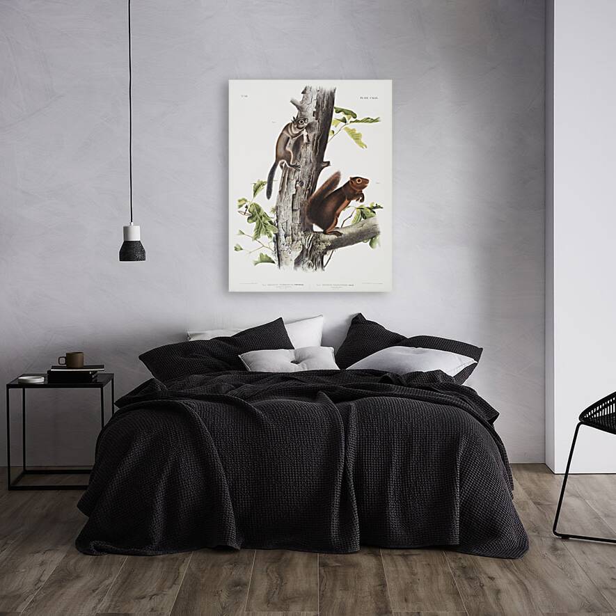 Pouched Jerboa Mouse Dipodomys Phillipsii  Reproduction