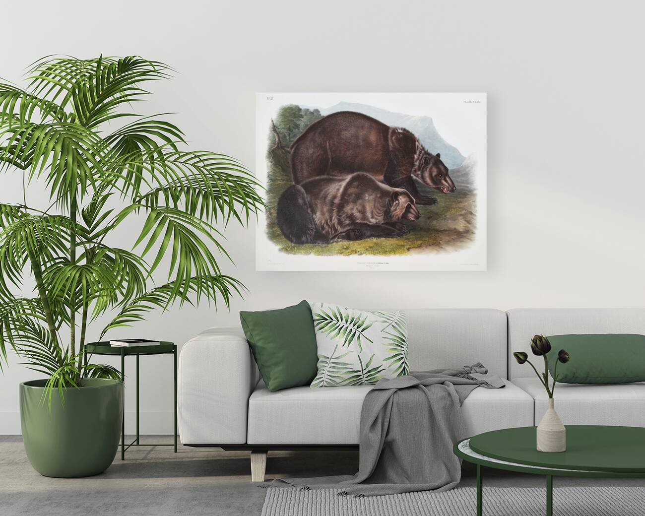 Pouched Jerboa Mouse Dipodomys Phillipsii  Reproduction