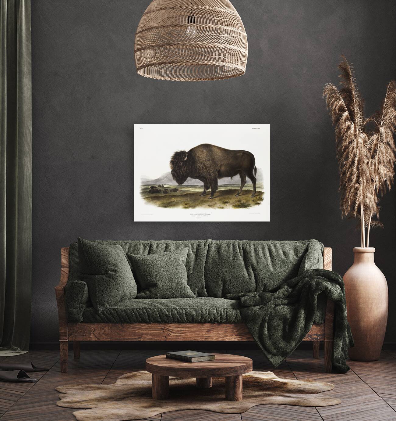 Marsh Hare Lepus palustris  Reproduction