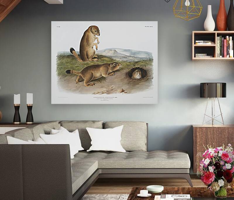 Marsh Hare Lepus palustris  Reproduction