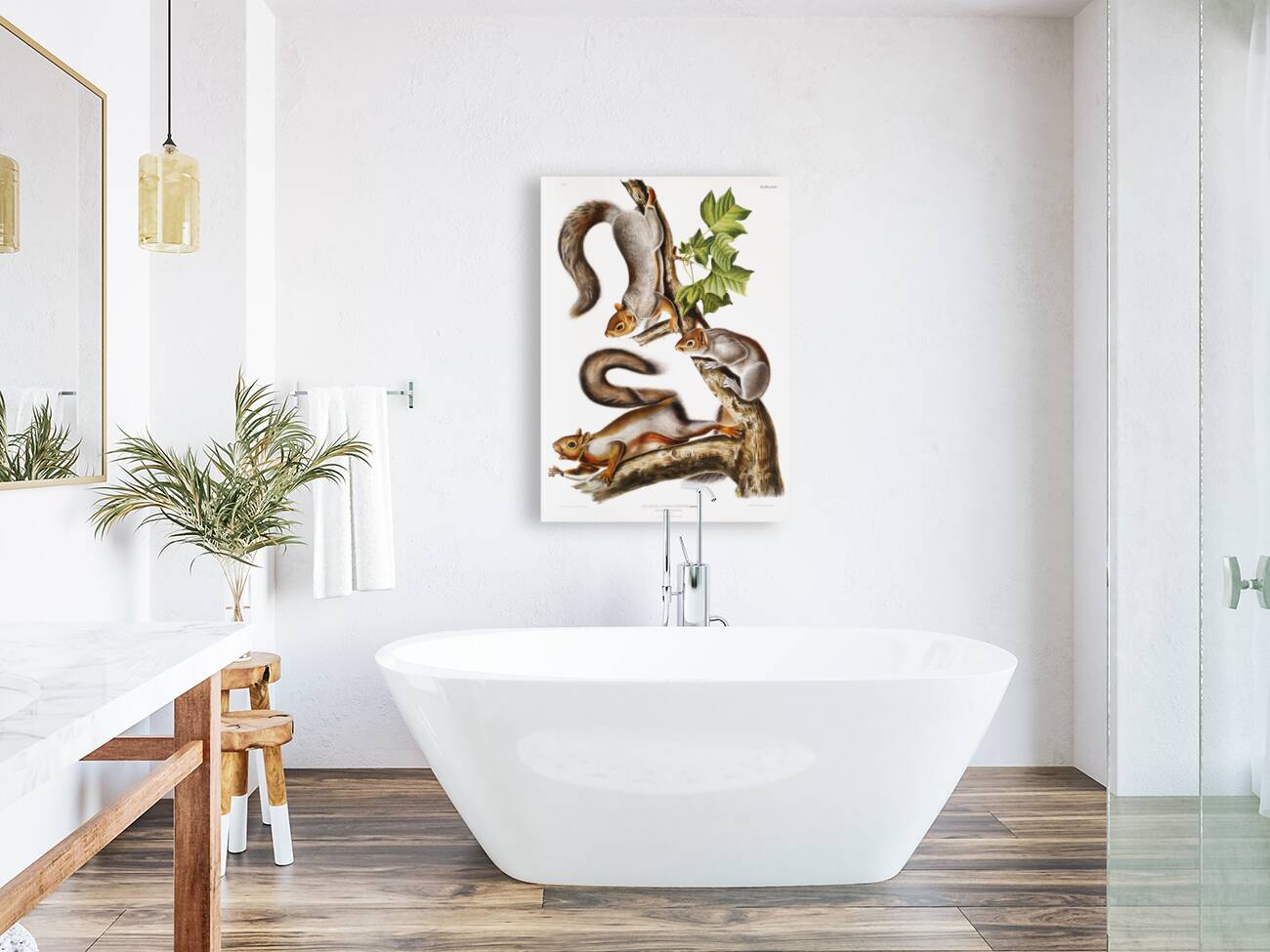 Migratory Squirrel Sciurus migratorius  Reproduction