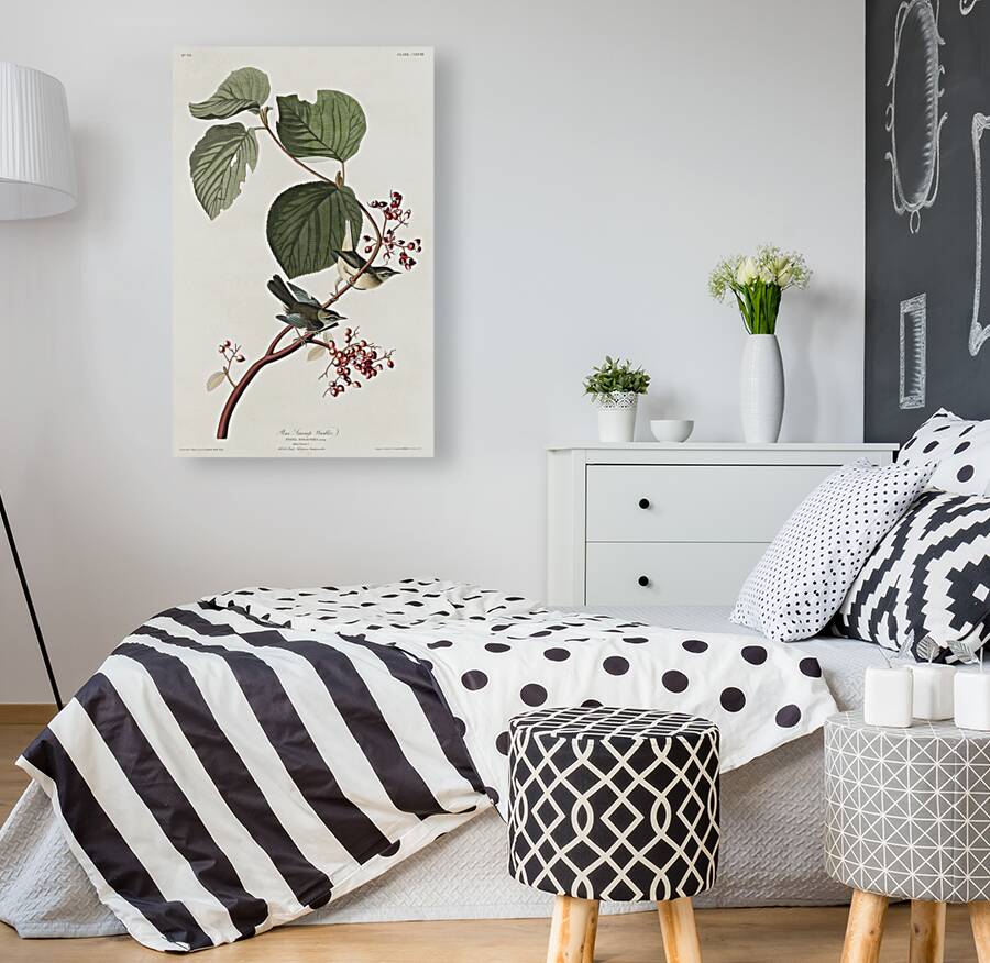 Pine Swamp Warbler Reproduction