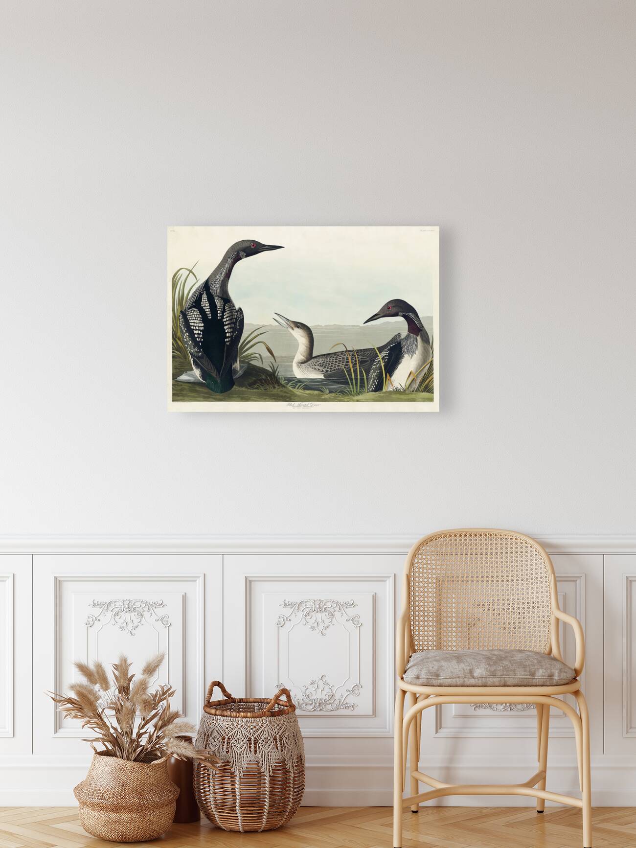 Black-Throated Diver Reproduction