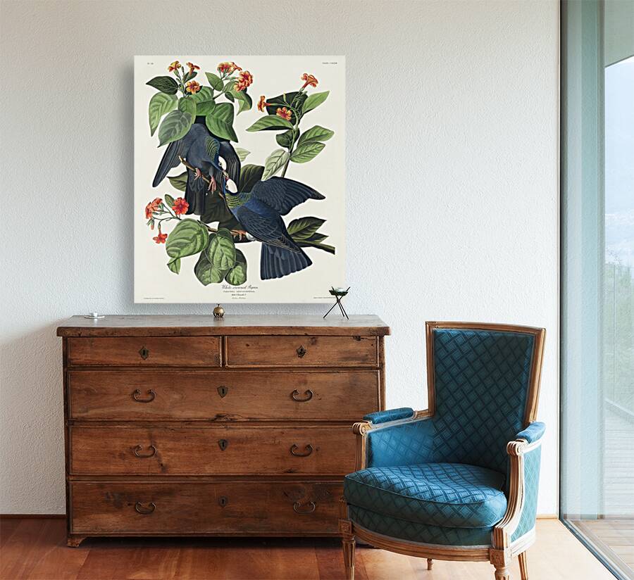 White-crowned Pigeon Reproduction