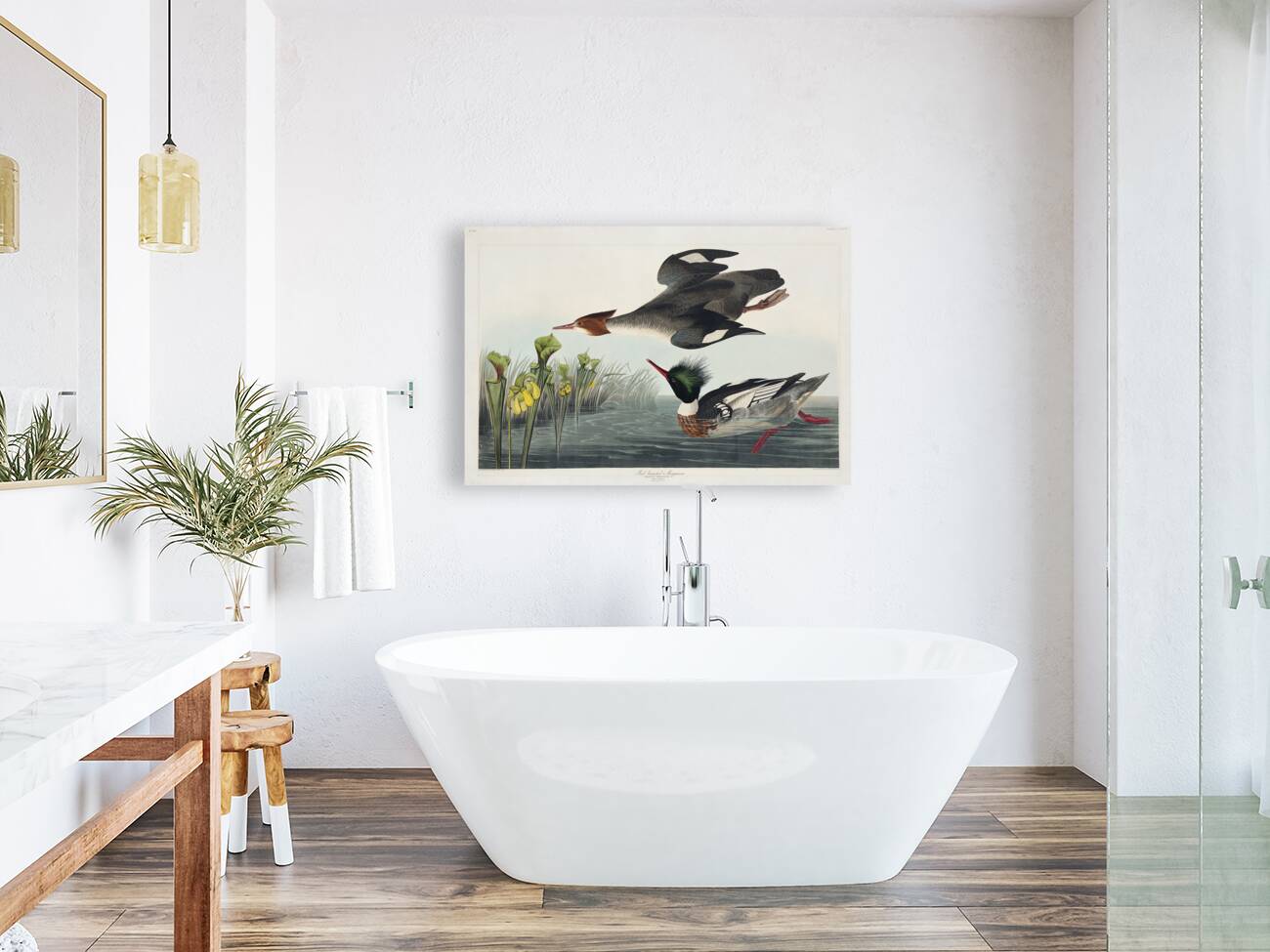 Red-breasted Merganser Reproduction