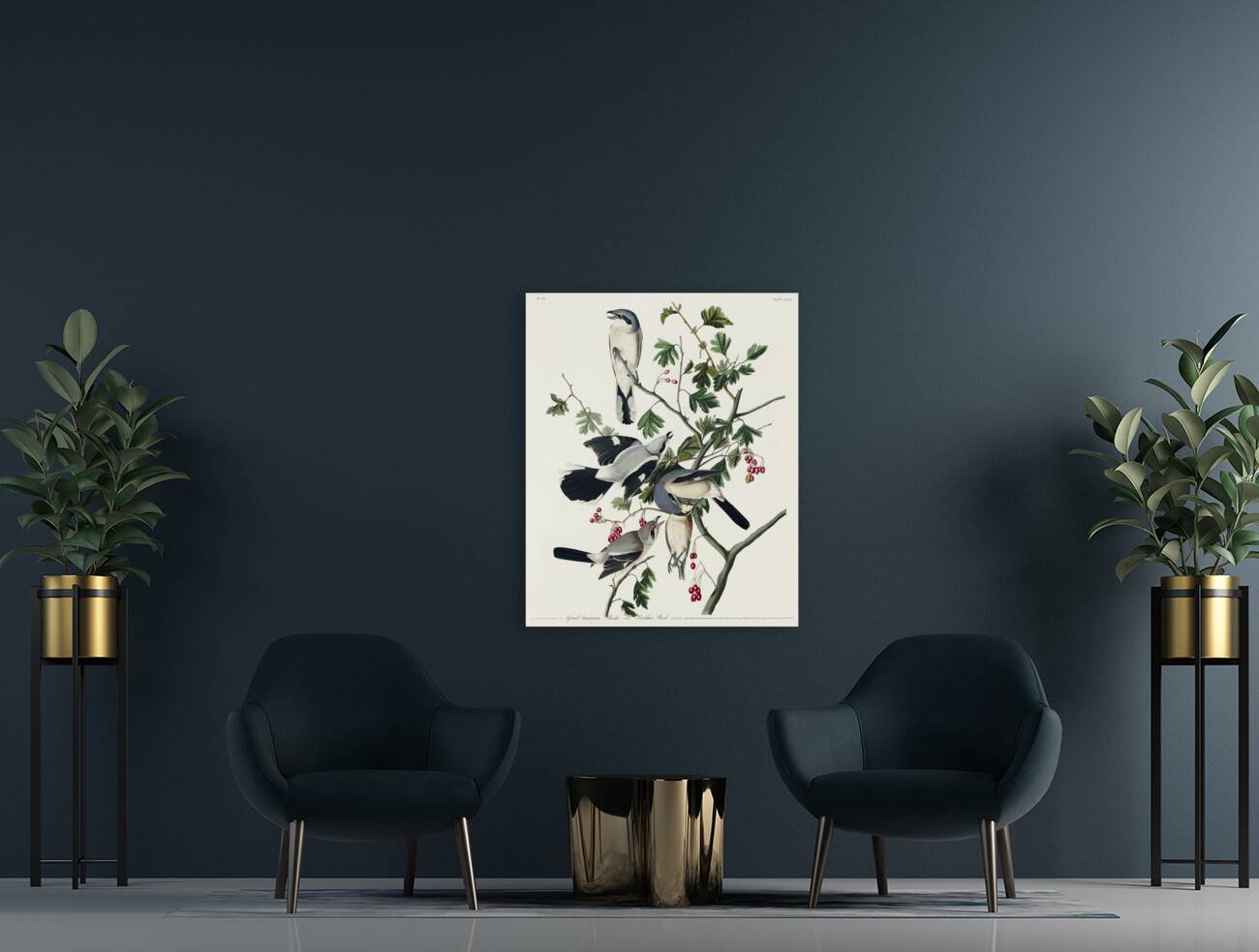 Great cinereous Shrike or Butcher Bird Reproduction