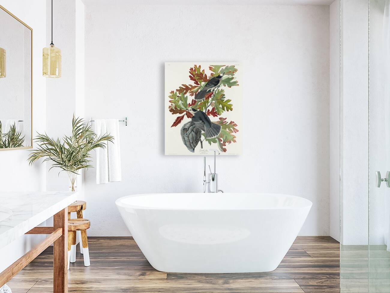 Canada Jay Reproduction