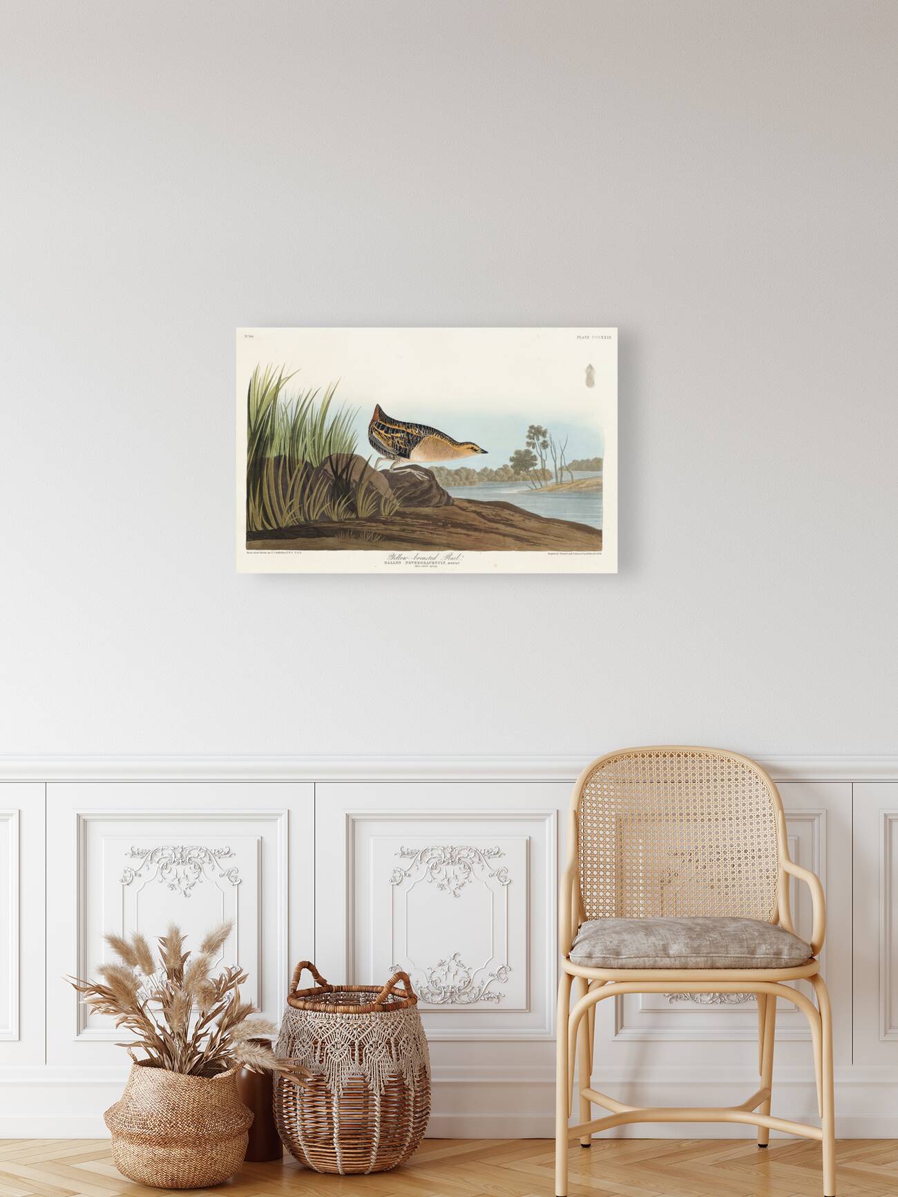 Yellow-breasted Rail Reproduction