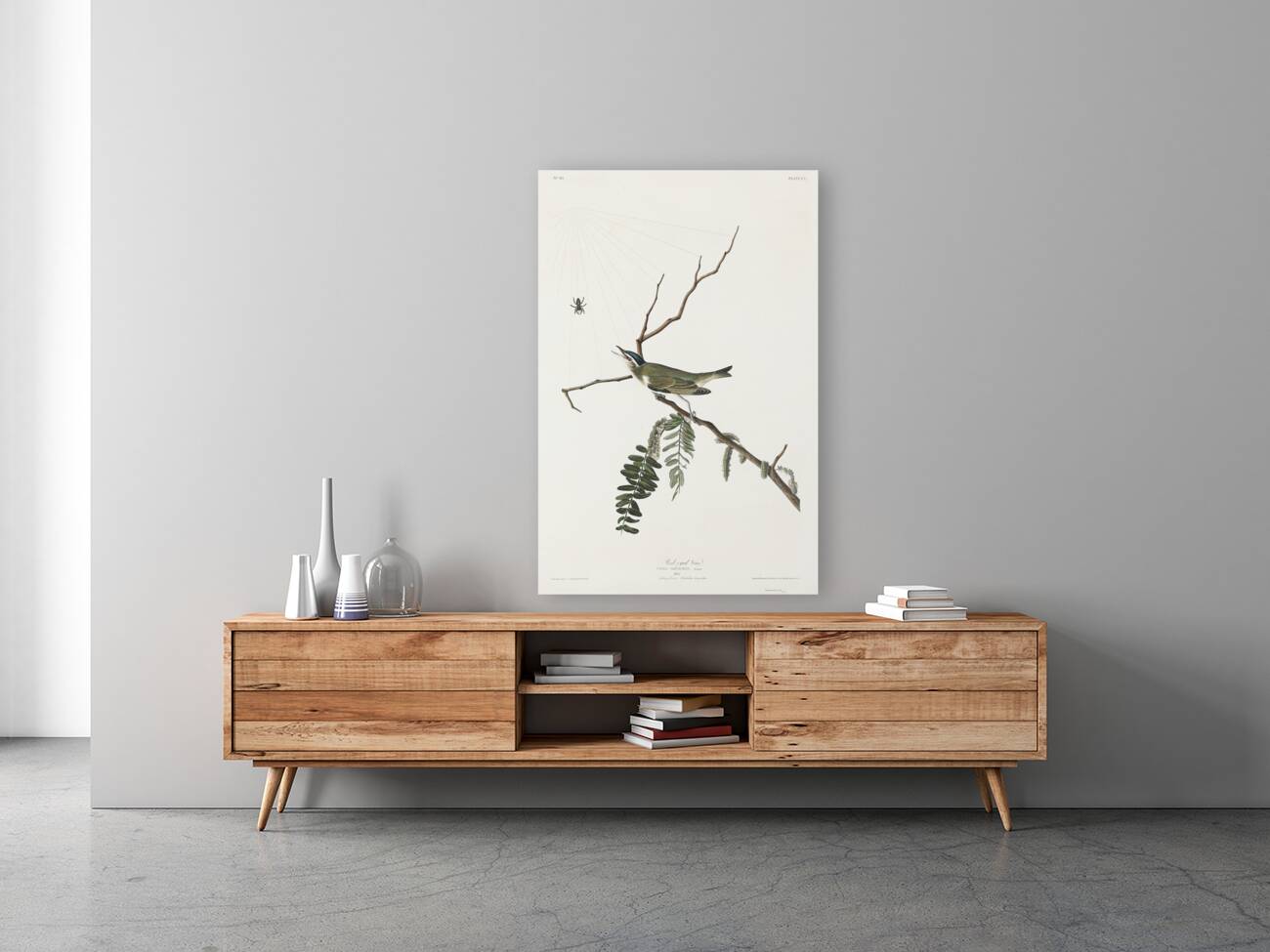 Red-eyed Vireo Reproduction