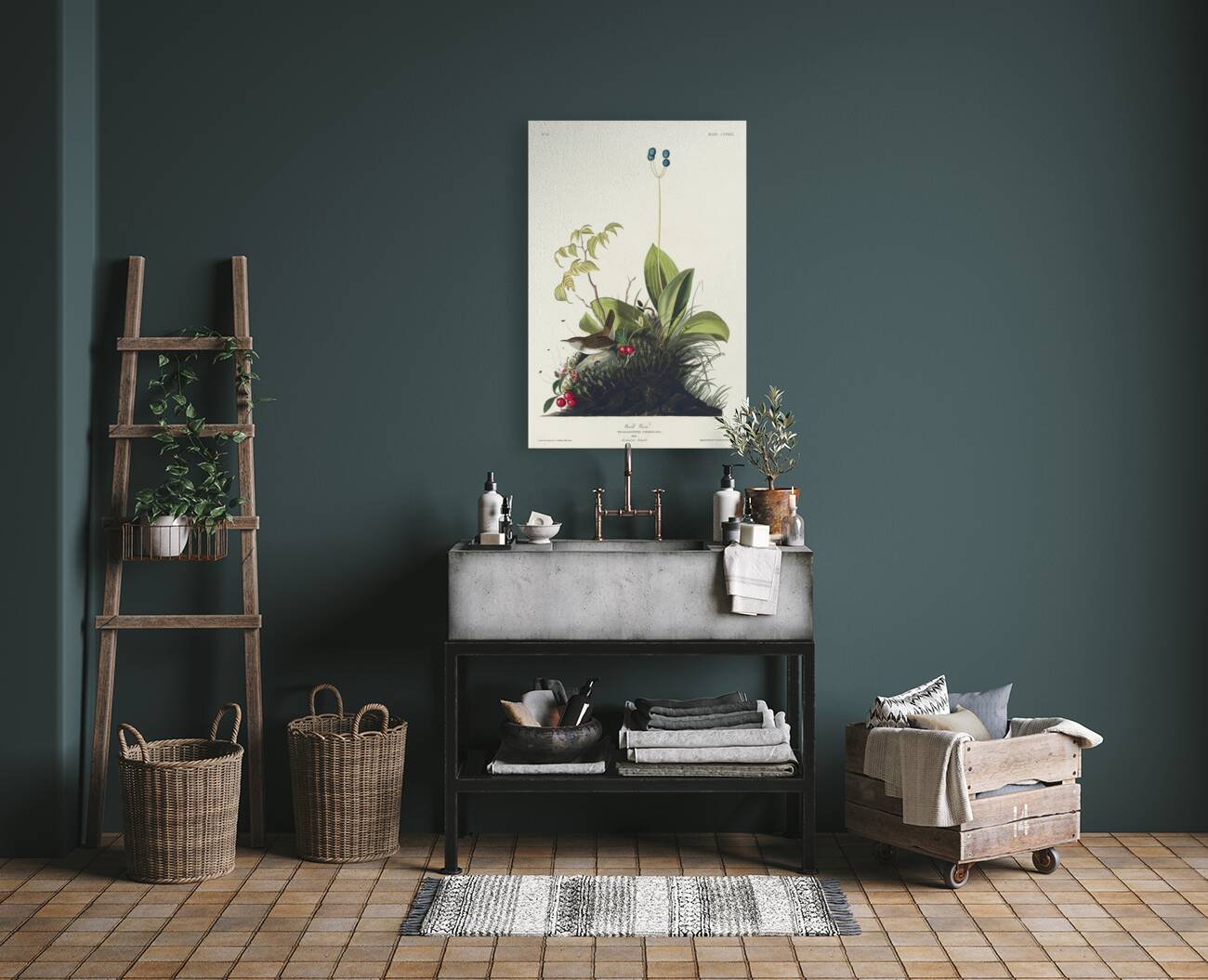 Wood Wren Reproduction