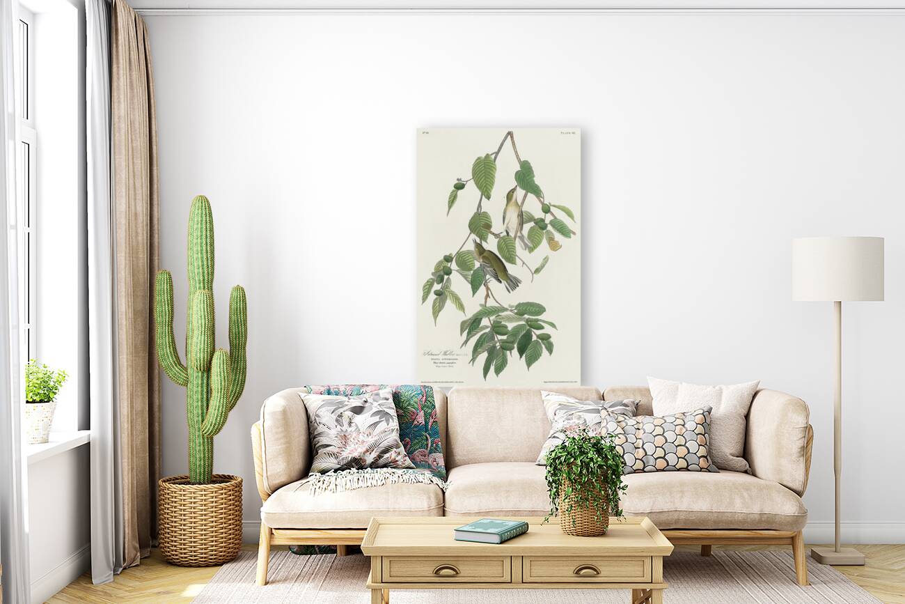 Autumnal Warbler Reproduction