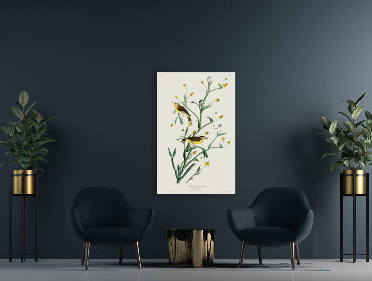 Yellow Red-poll Warbler Reproduction