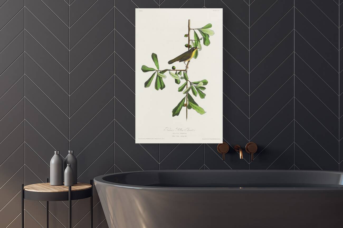 Roscoes Yellow-throat Reproduction