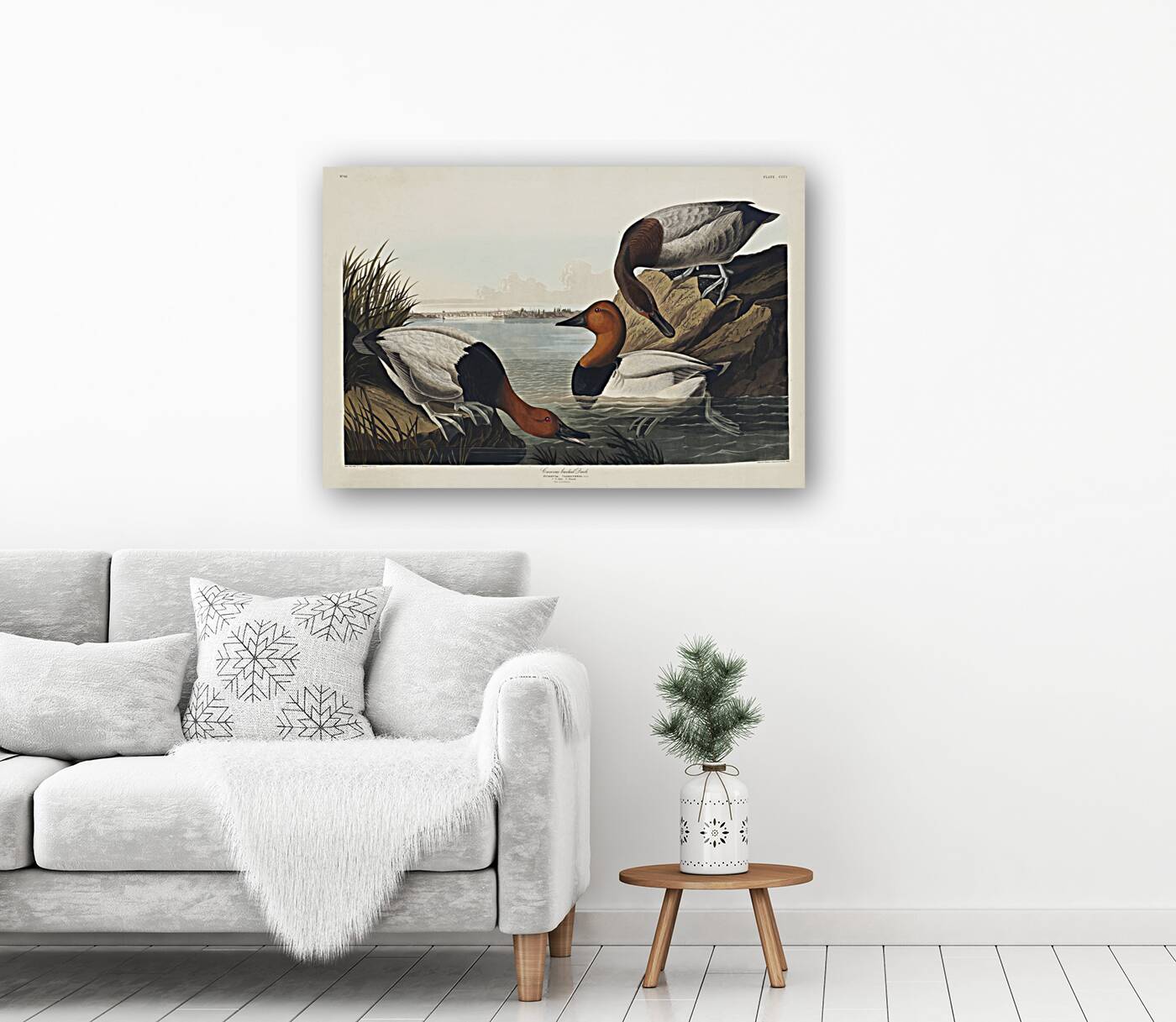 American Redstart Reproduction