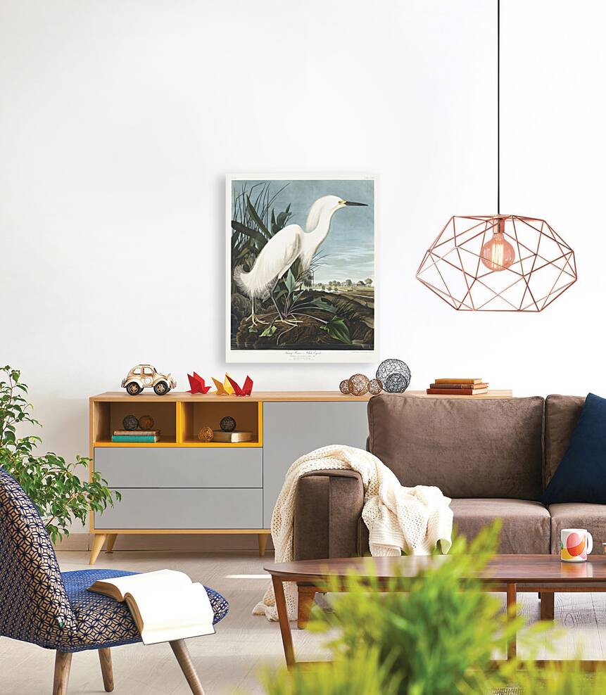 Snowy Heron or White Egret Reproduction