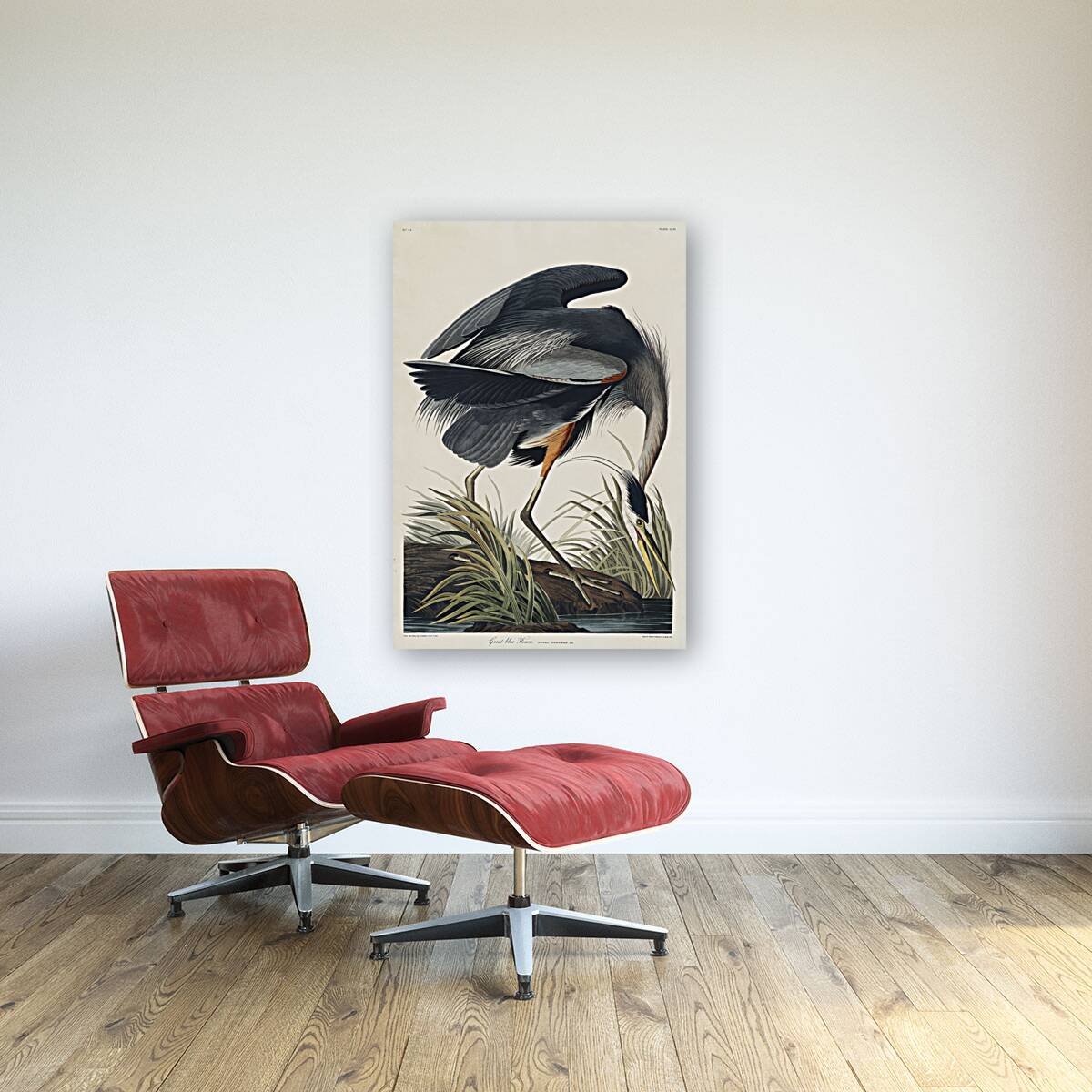 Golden-crowned Thrush Reproduction