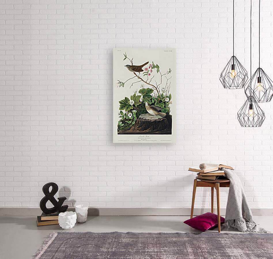 Lincoln Finch Reproduction