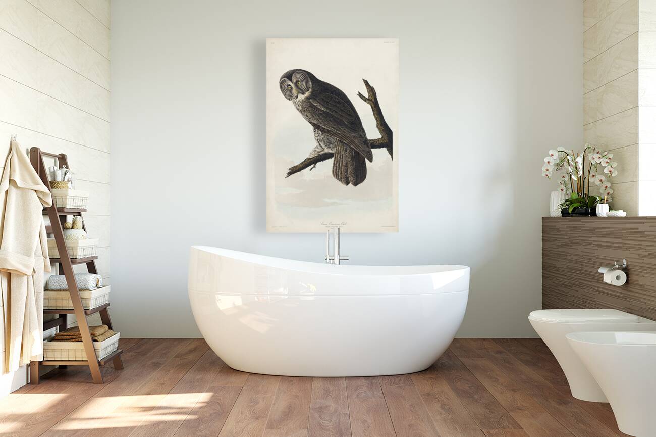 Great Cinereous Owl Reproduction