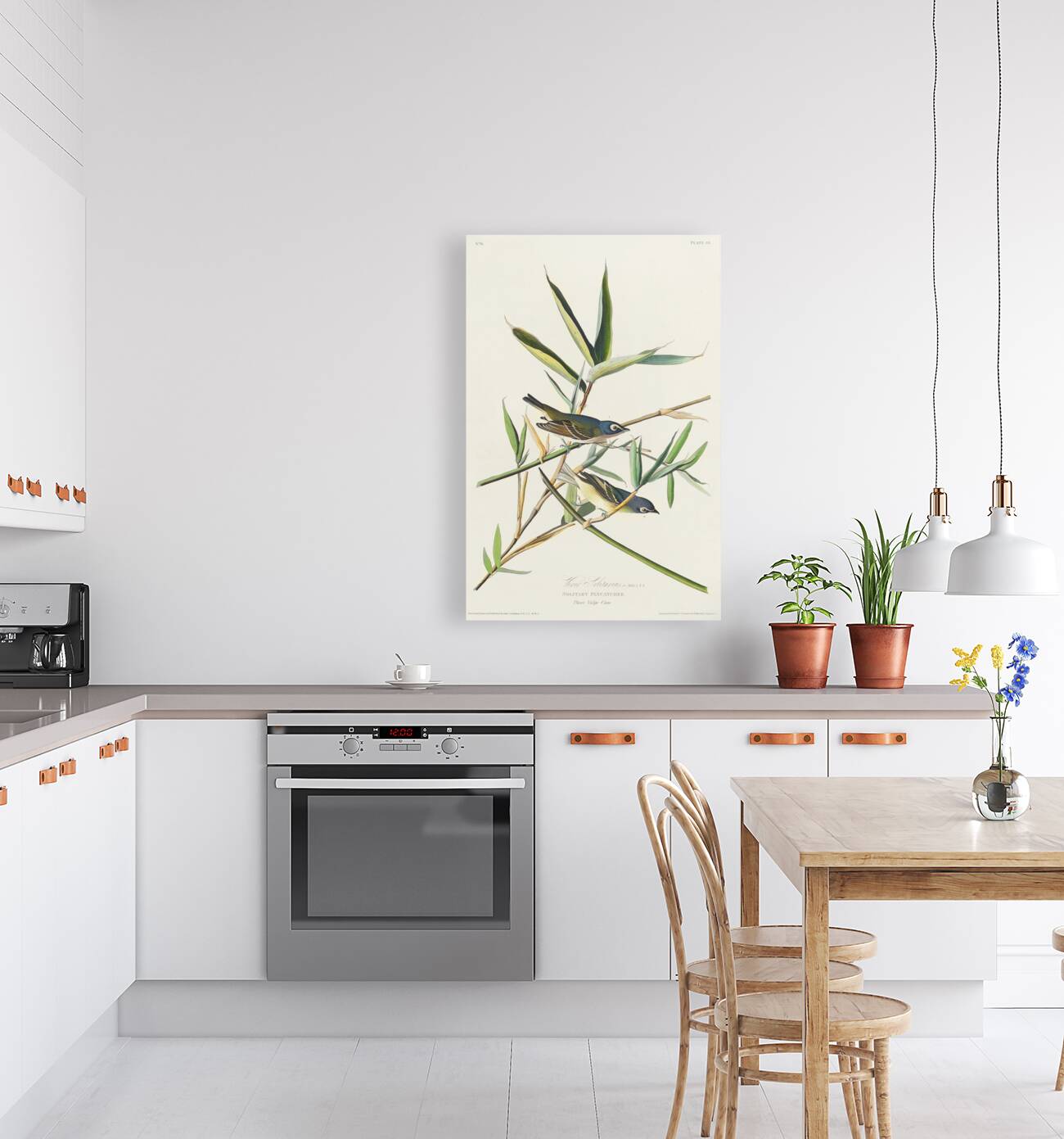 Vireo Solitarius Reproduction