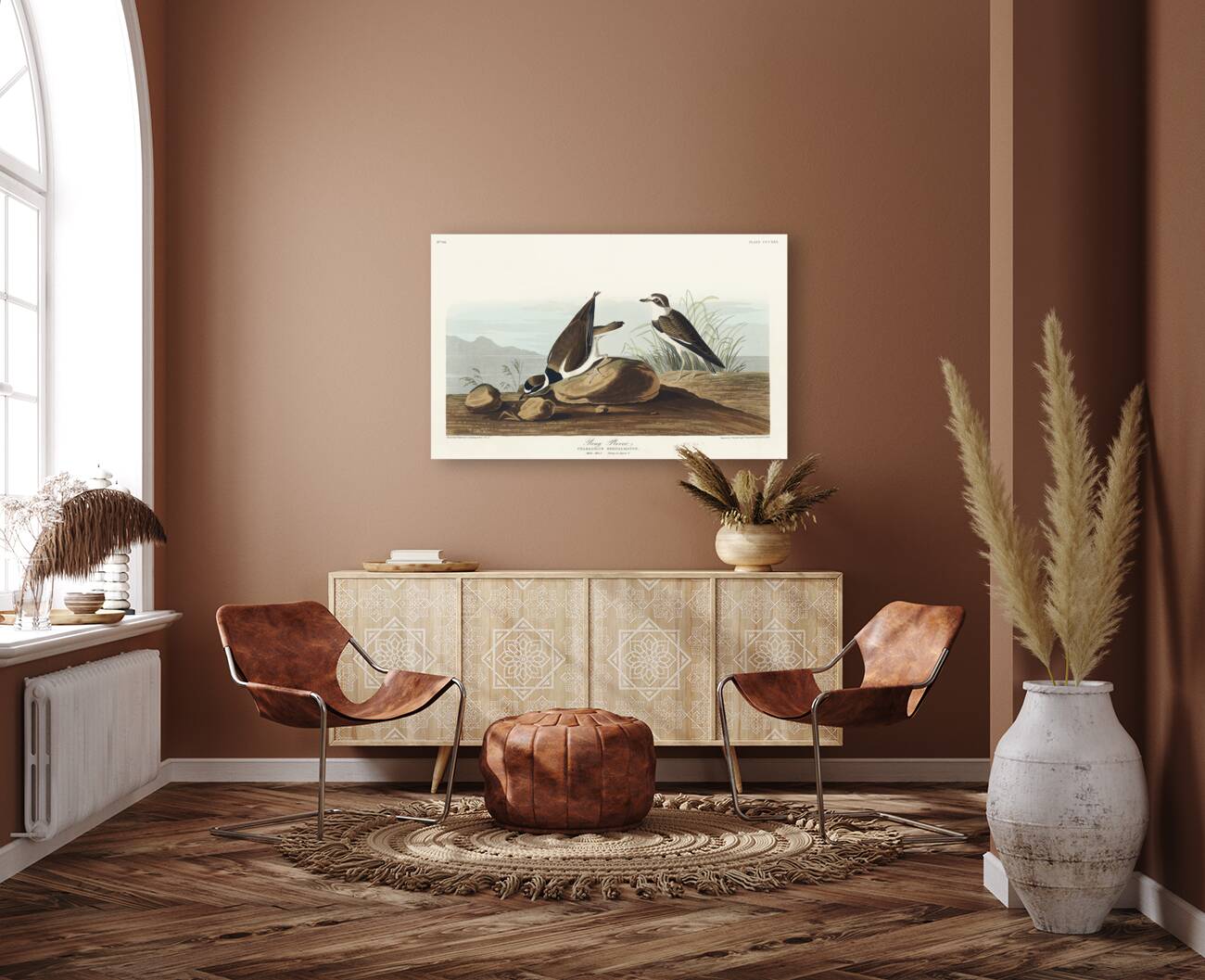 Ring Plover Reproduction