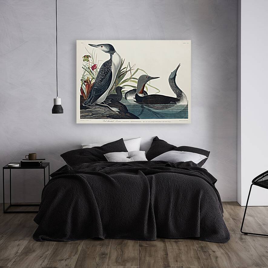 Red-Throated Diver Reproduction