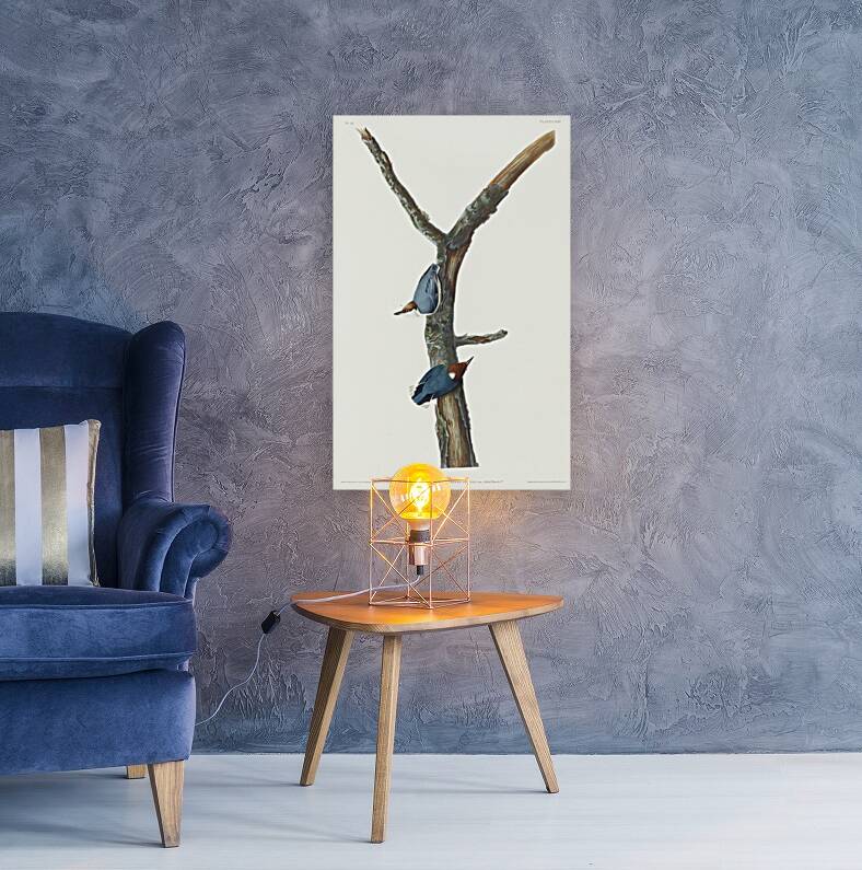 Brown-headed Nuthatch Reproduction