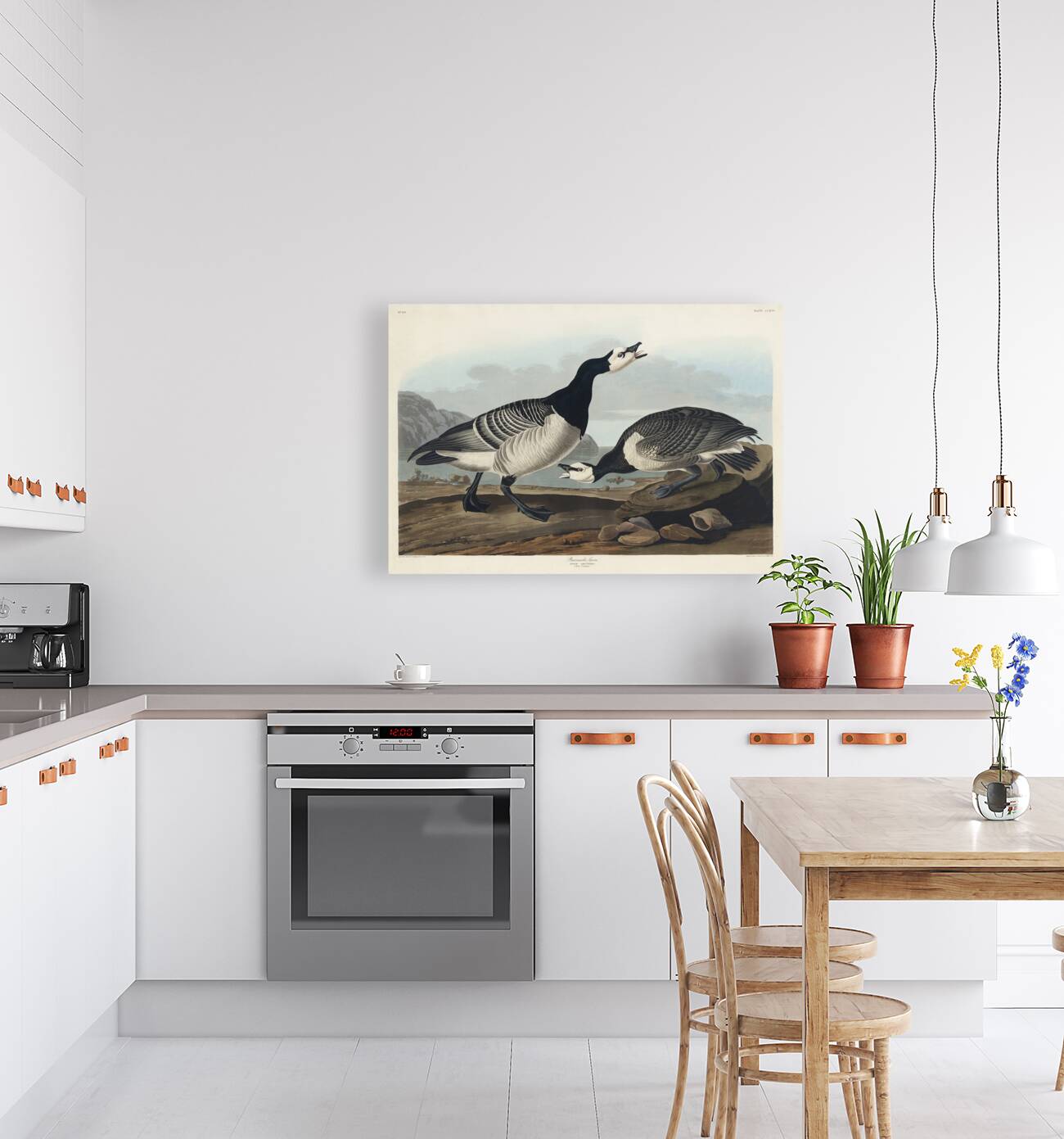 Barnacle Goose Reproduction