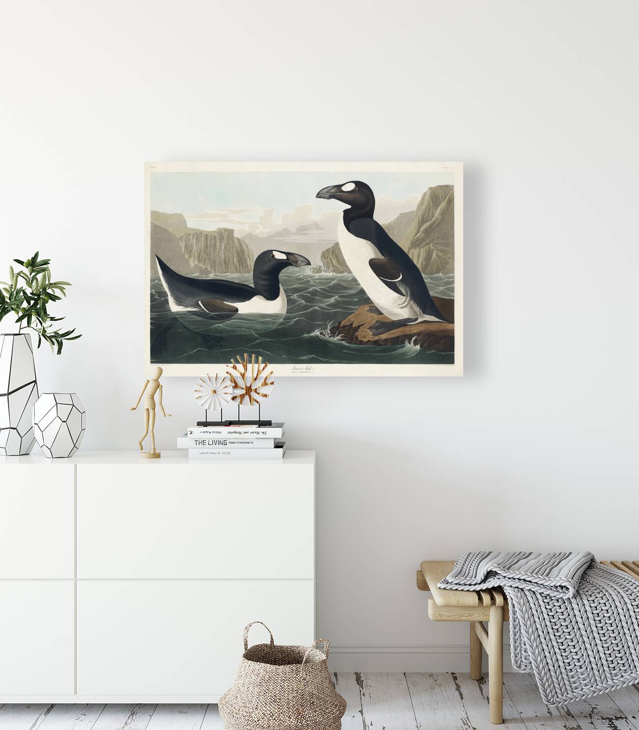 Great Auk Reproduction