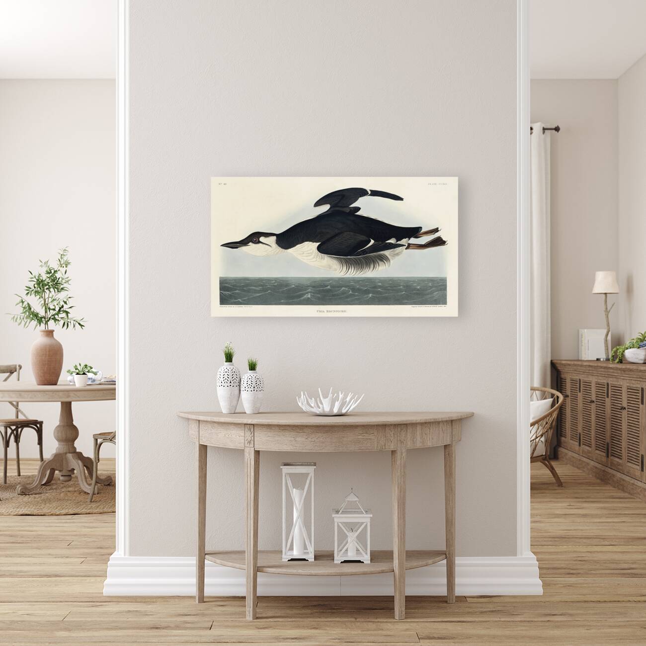 Uria Brunnichi Reproduction