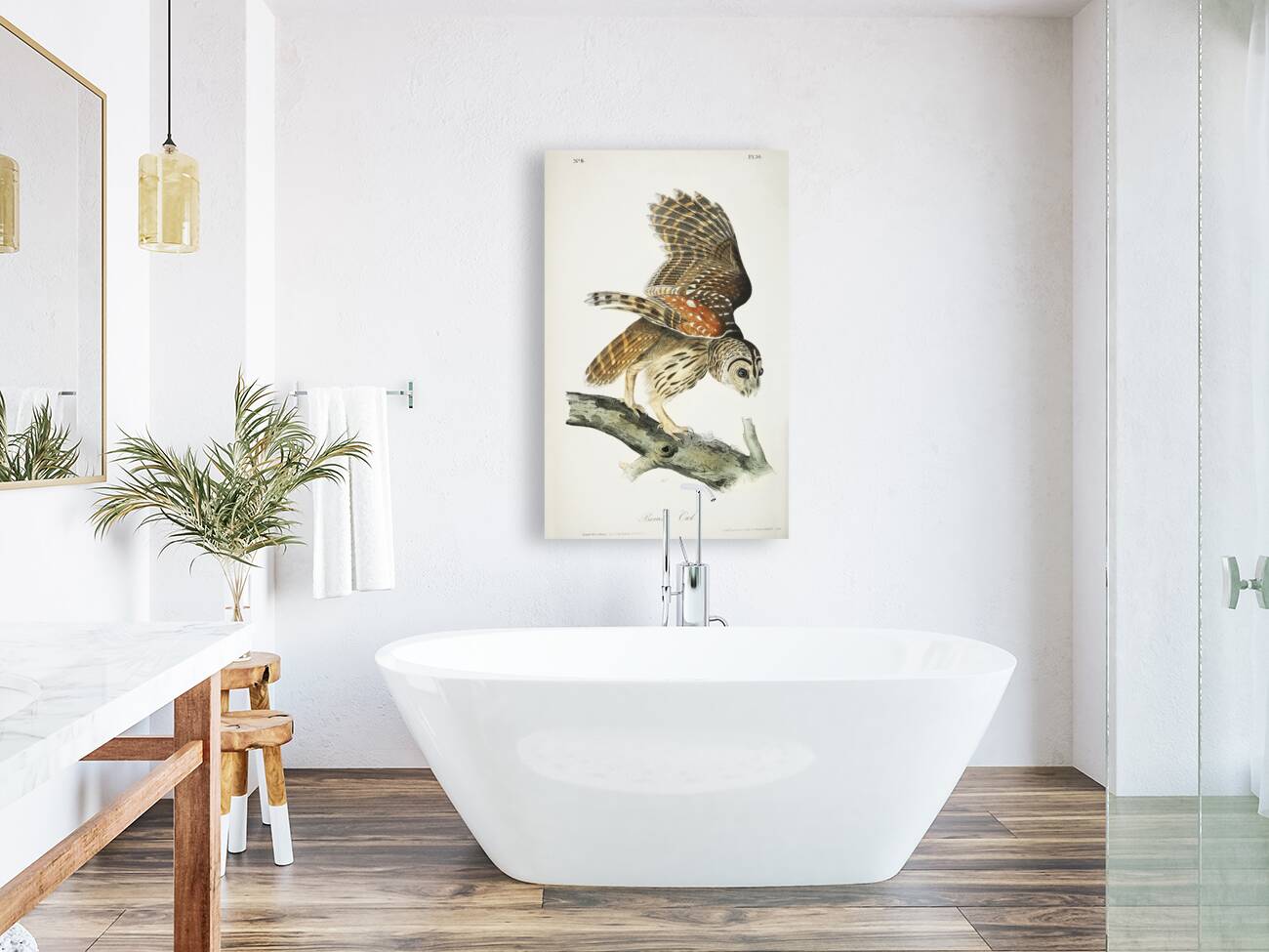 Barred Owl Reproduction