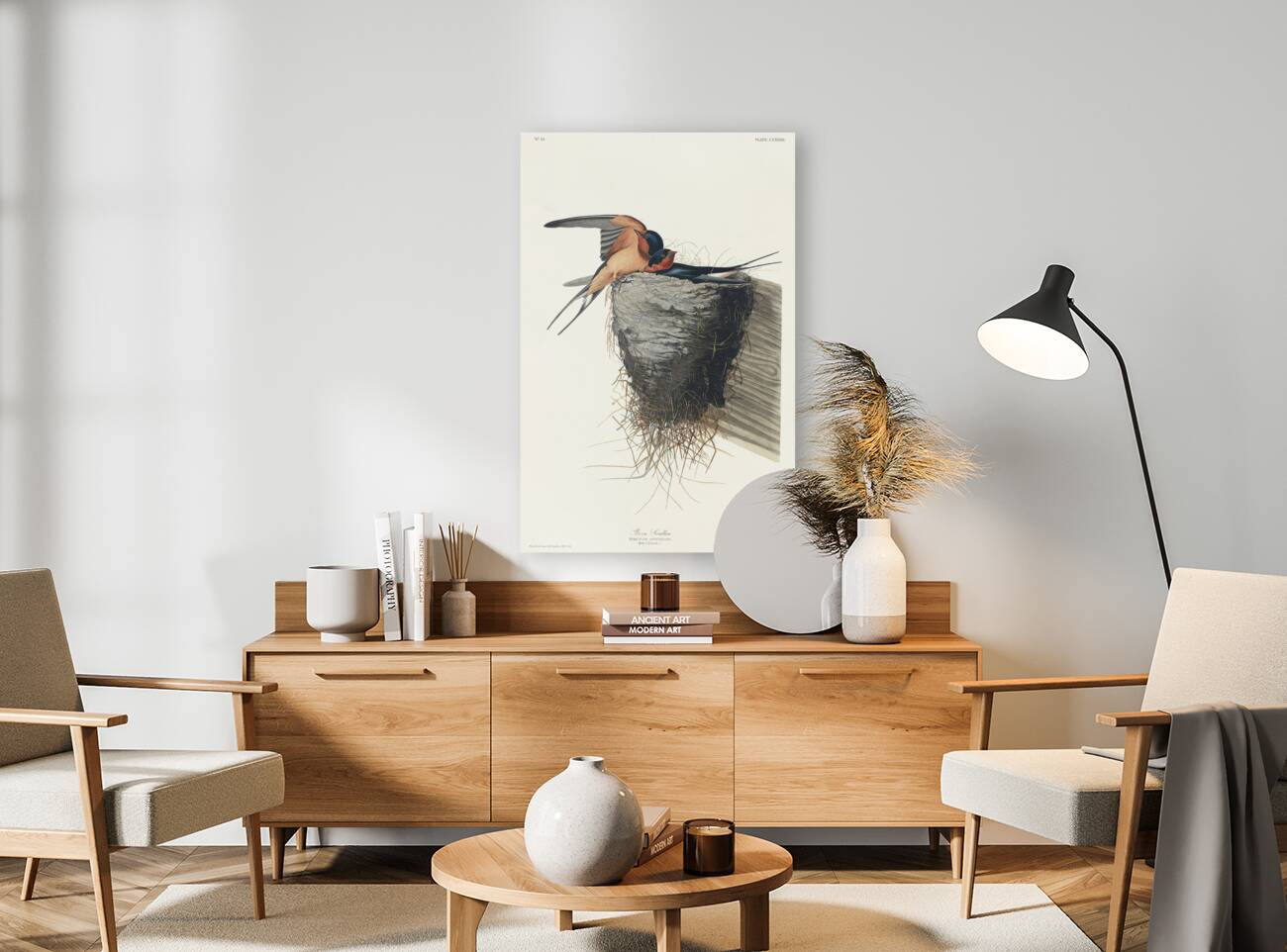 Barn Swallow Reproduction