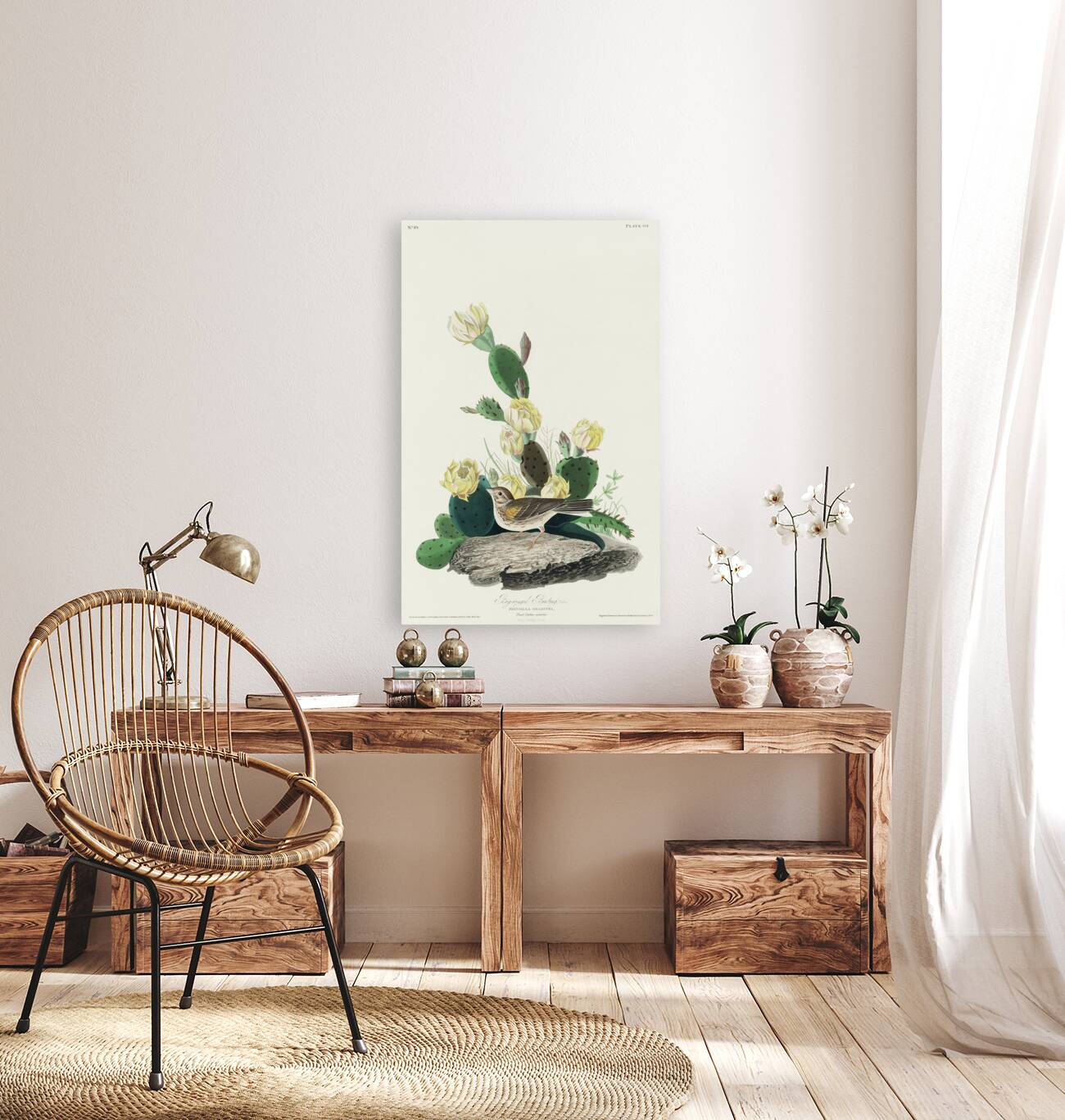 Grass Finch or Bay-winged Bunting Reproduction