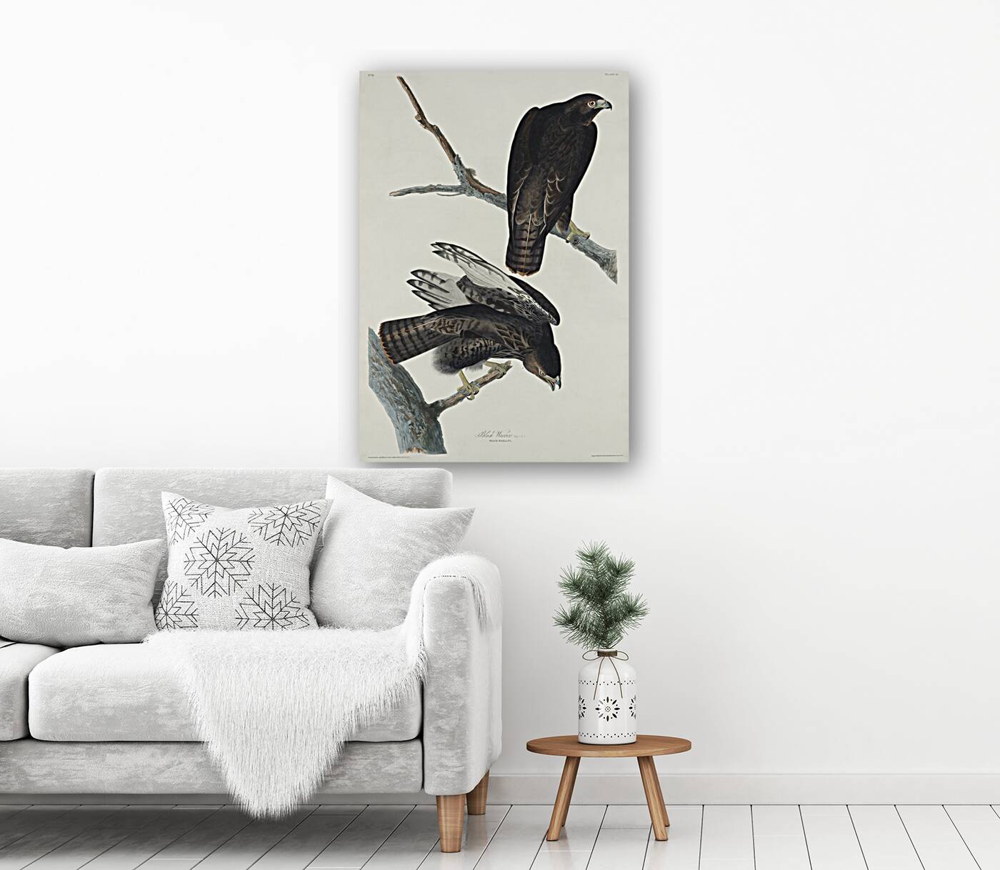 Black Warrior Reproduction