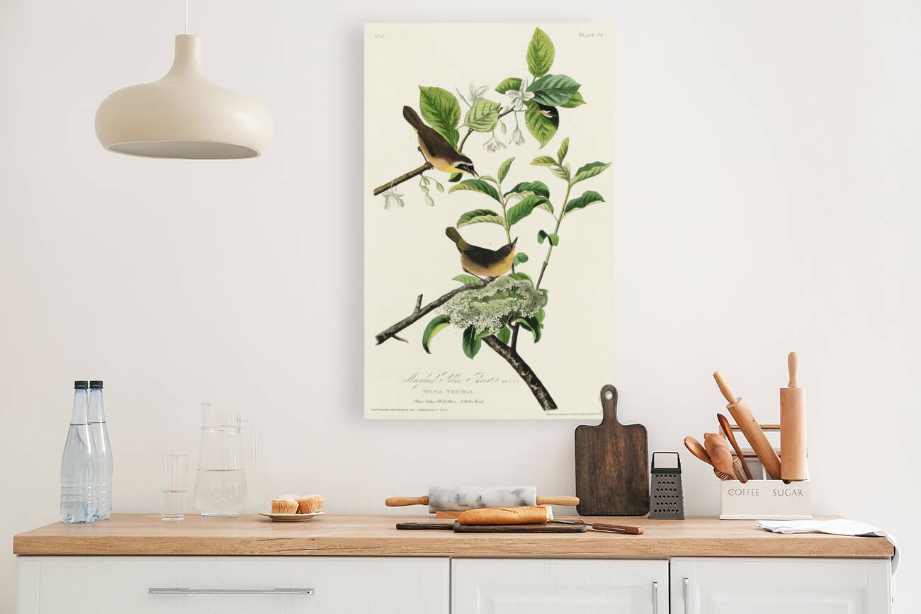 Wandering Shearwater Reproduction